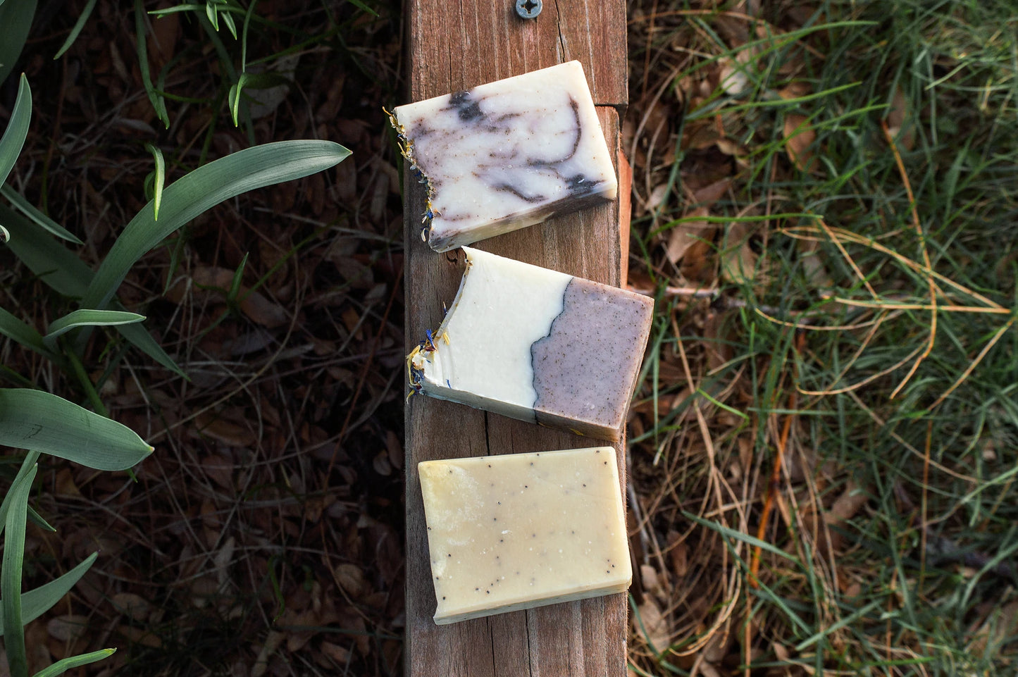Adventurist Soap Co. - Morning Dew